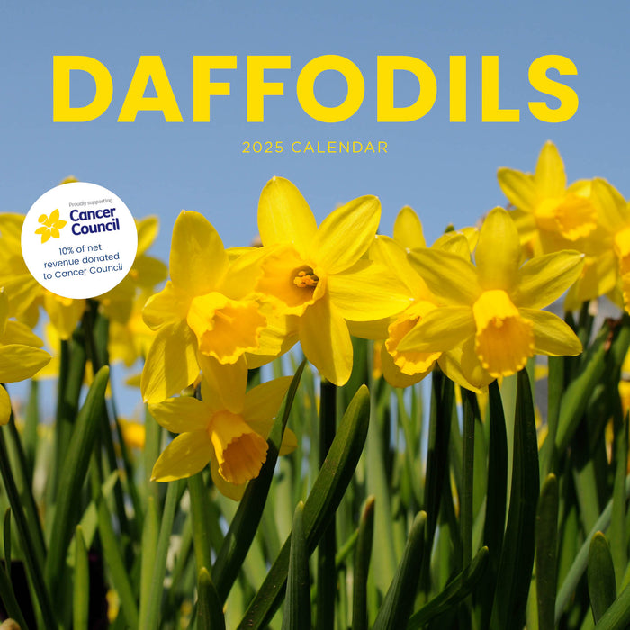 2025 Daffodil Cancer Council Wall Calendar