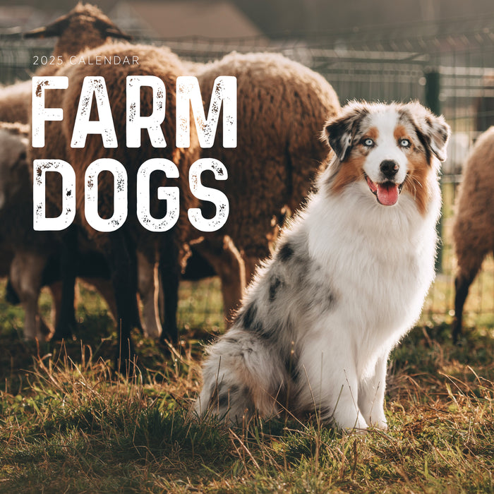 2025 Farm Dogs Wall Calendar