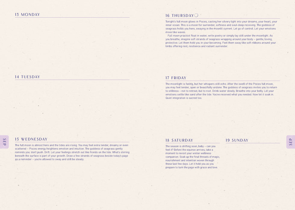 Moon Goddess  2027 Weekly Diary