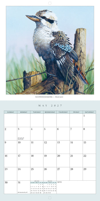 Australian Birds by Paul Margocsy 2027 Square Wall Calendar