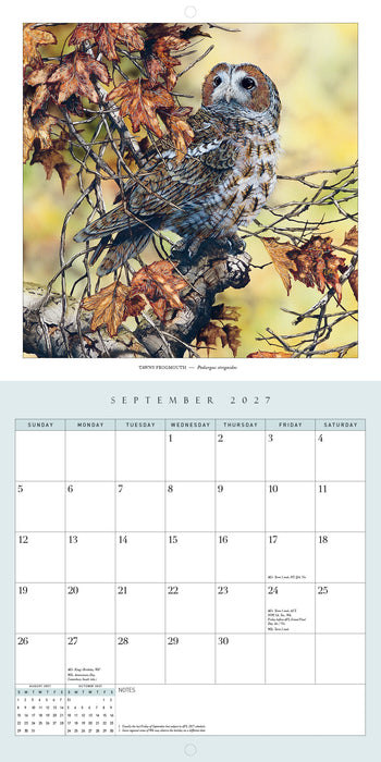 Australian Birds by Paul Margocsy 2027 Square Wall Calendar