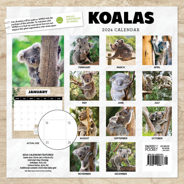 2024 Koalas Wall Calendar