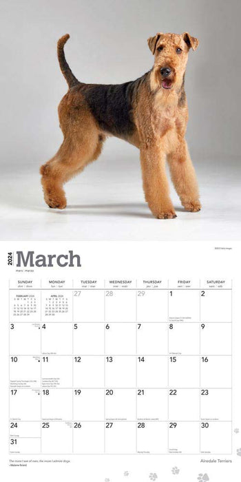 2024 Airedale Terriers Wall Calendar