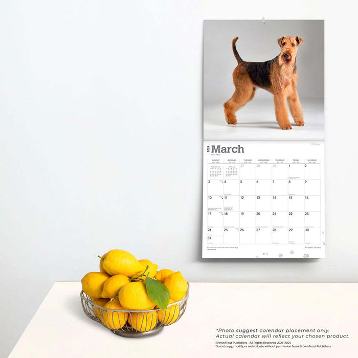 2024 Airedale Terriers Wall Calendar
