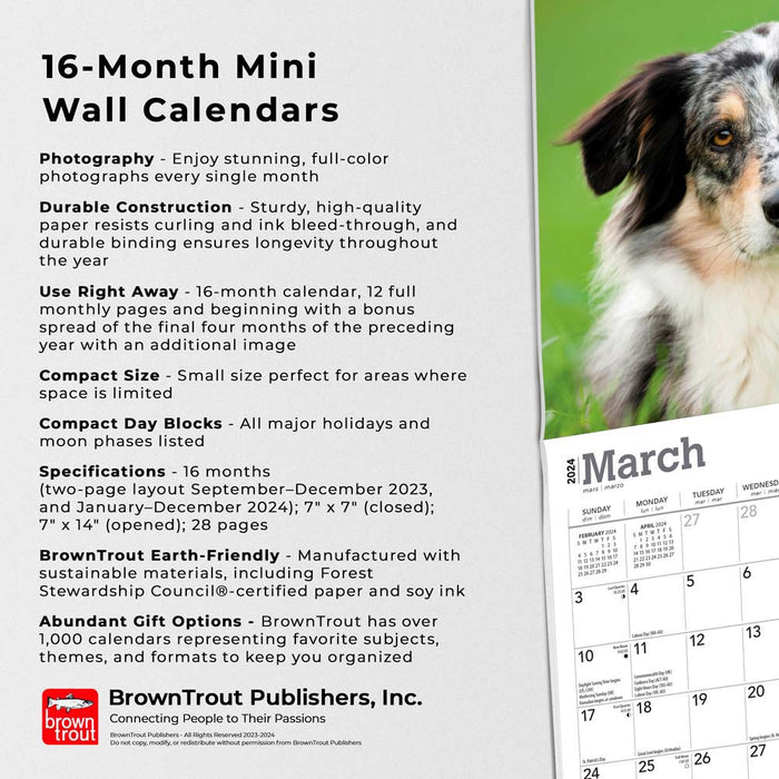 2024 Australian Shepherds Mini Wall Calendar — Calendar Club