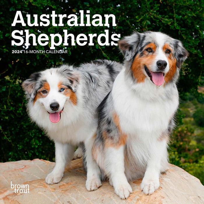 2024 Australian Shepherds Mini Wall Calendar