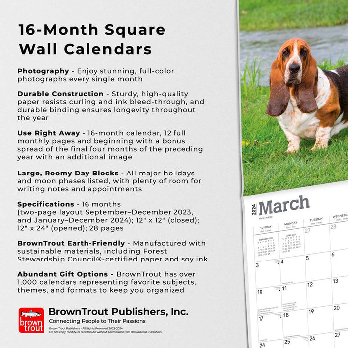 2024 Basset Hounds Wall Calendar