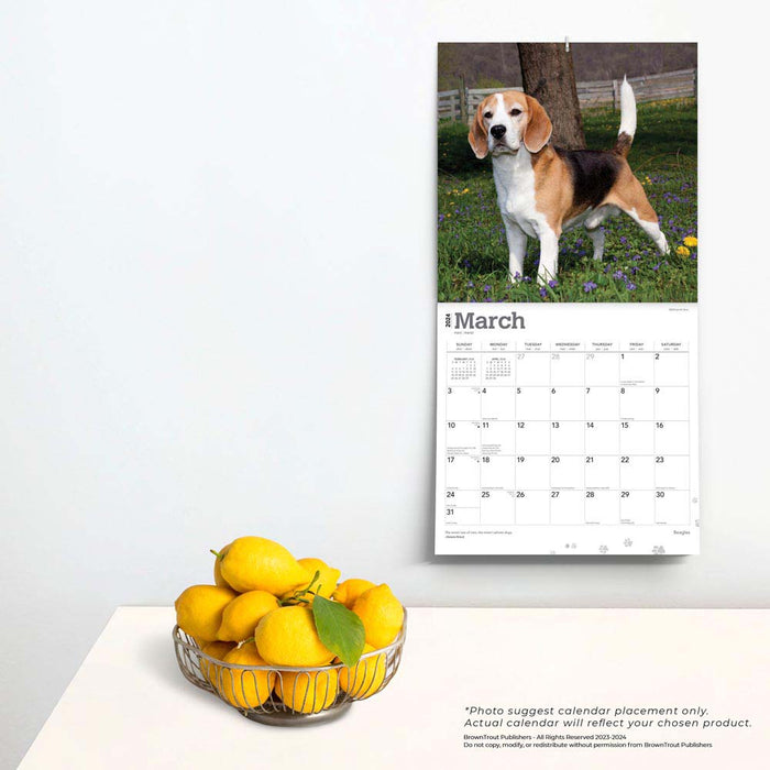 2024 Beagles Wall Calendar — Calendar Club
