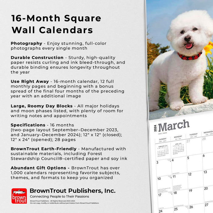2024 Bichon Frise Wall Calendar