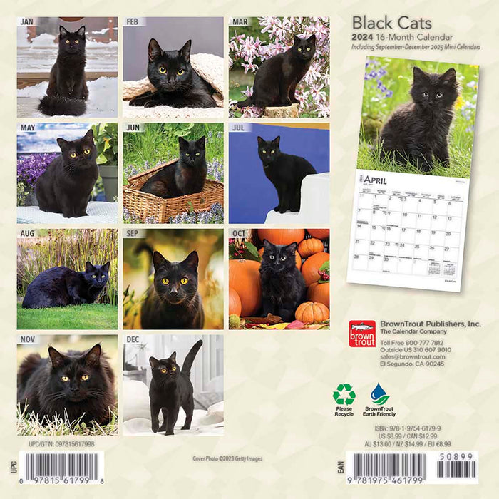 2024 Black Cats Mini Wall Calendar