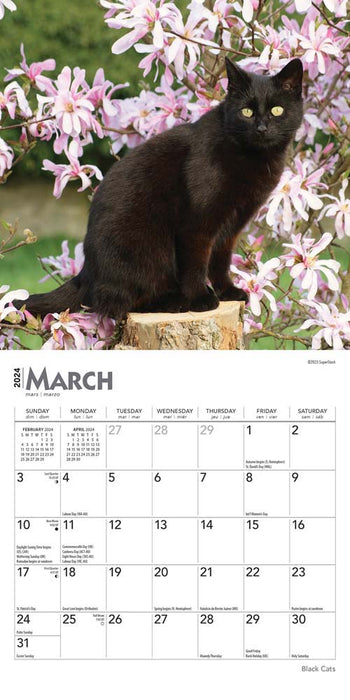 2024 Black Cats Mini Wall Calendar