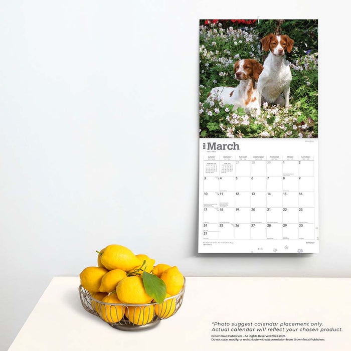 2024 Brittanys Wall Calendar (Online Exclusive)