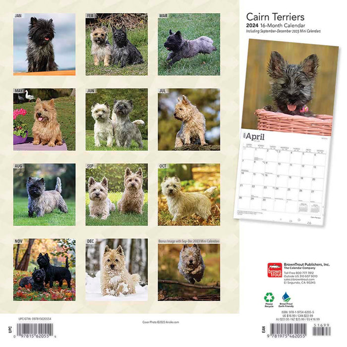 2024 Cairn Terriers Wall Calendar