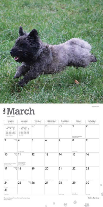 2024 Cairn Terriers Wall Calendar