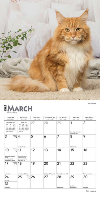 2024 Cat Lovers Mini Wall Calendar