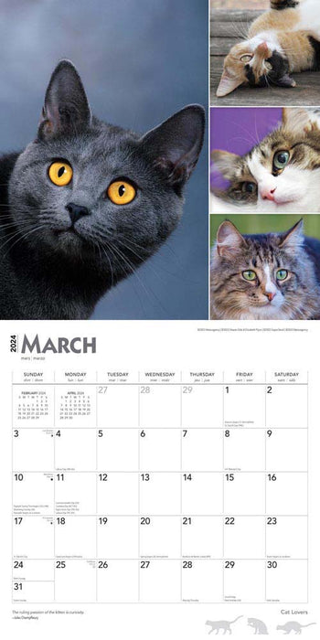 2024 Cat Lovers Wall Calendar
