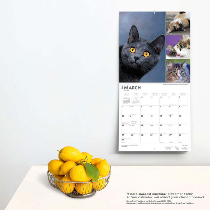 2024 Cat Lovers Wall Calendar