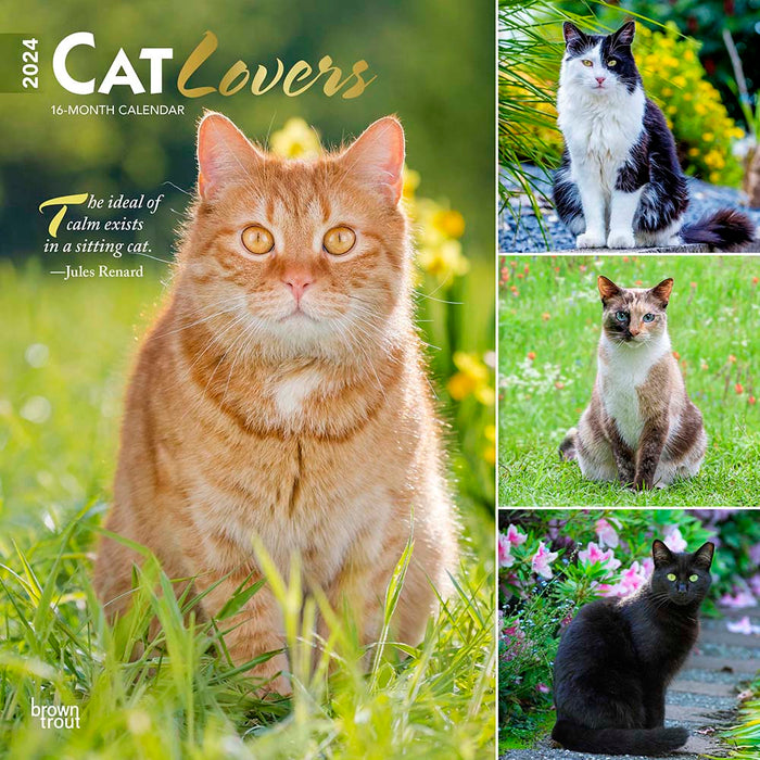 2024 Cat Lovers Wall Calendar — Calendar Club
