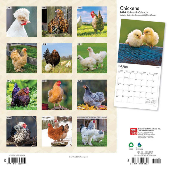 2024 Chickens Wall Calendar