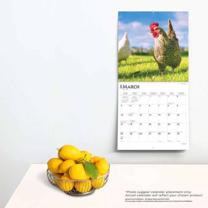 2024 Chickens Wall Calendar