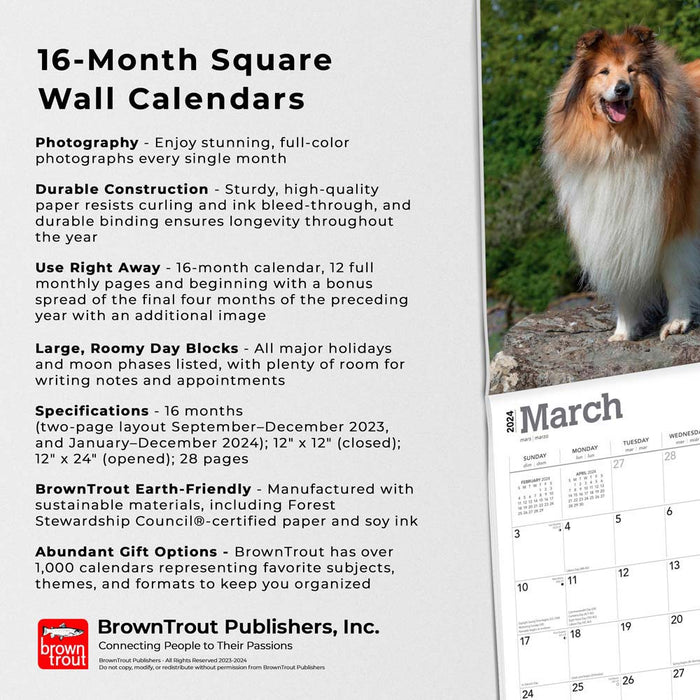 2024 Collies Wall Calendar