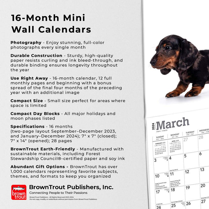 2024 Dachshund Puppies Mini Wall Calendar