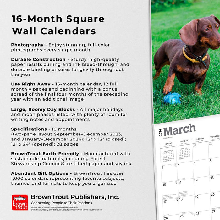 2024 Dachshunds Wall Calendar
