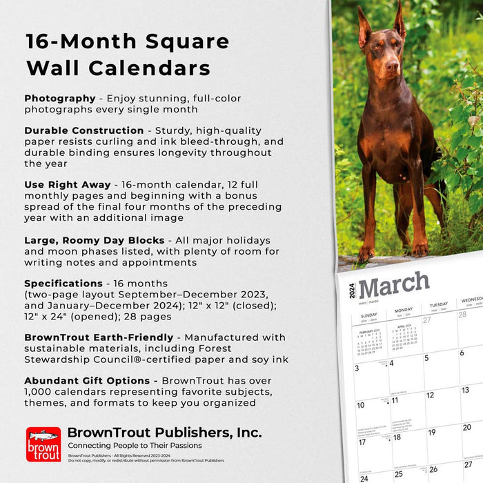 2024 Dobermans Wall Calendar