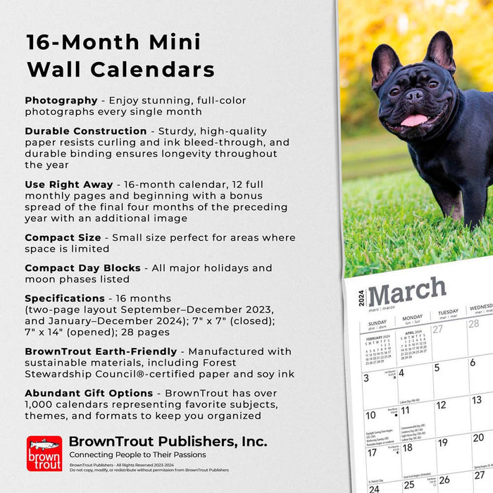 2024 French Bulldogs Mini Wall Calendar