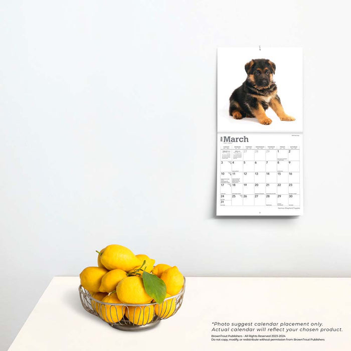 2024 German Shepherd Puppies Mini Wall Calendar