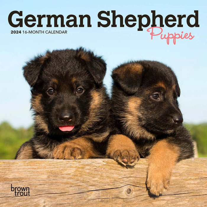 2024 German Shepherd Puppies Mini Wall Calendar