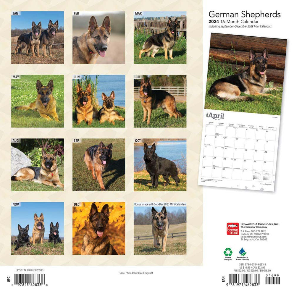 2024 German Shepherds Wall Calendar — Calendar Club