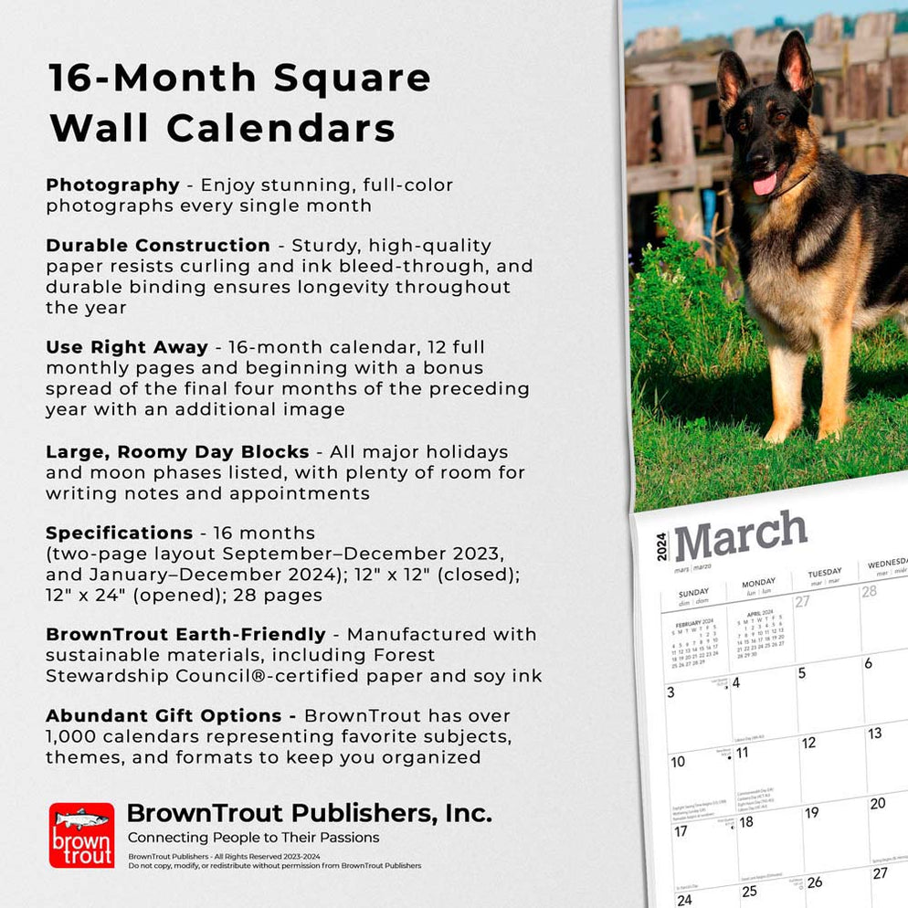 2024 German Shepherds Wall Calendar — Calendar Club