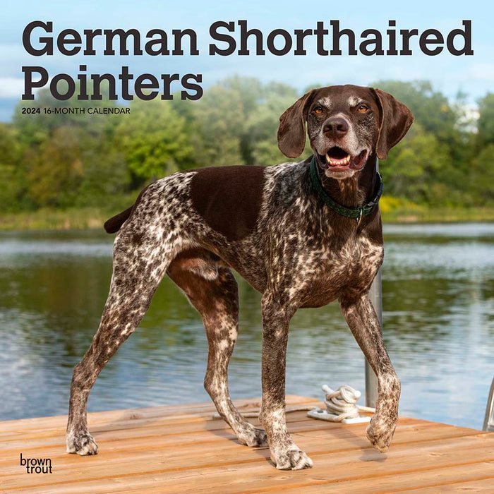 2024 German Shorthaired Pointers Wall Calendar โ Calendar Club 2024 German Shorthaired Pointers Wall Calendar โ Calendar Club
