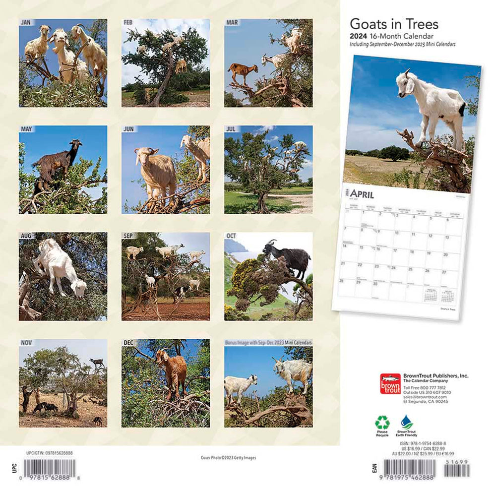 2024 Goats in Trees Wall Calendar — Calendar Club