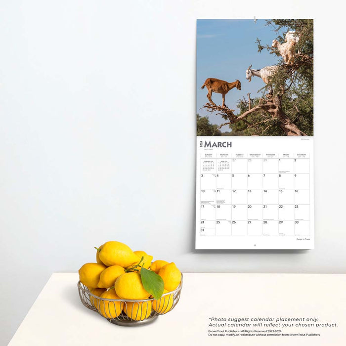 2024 Goats in Trees Wall Calendar
