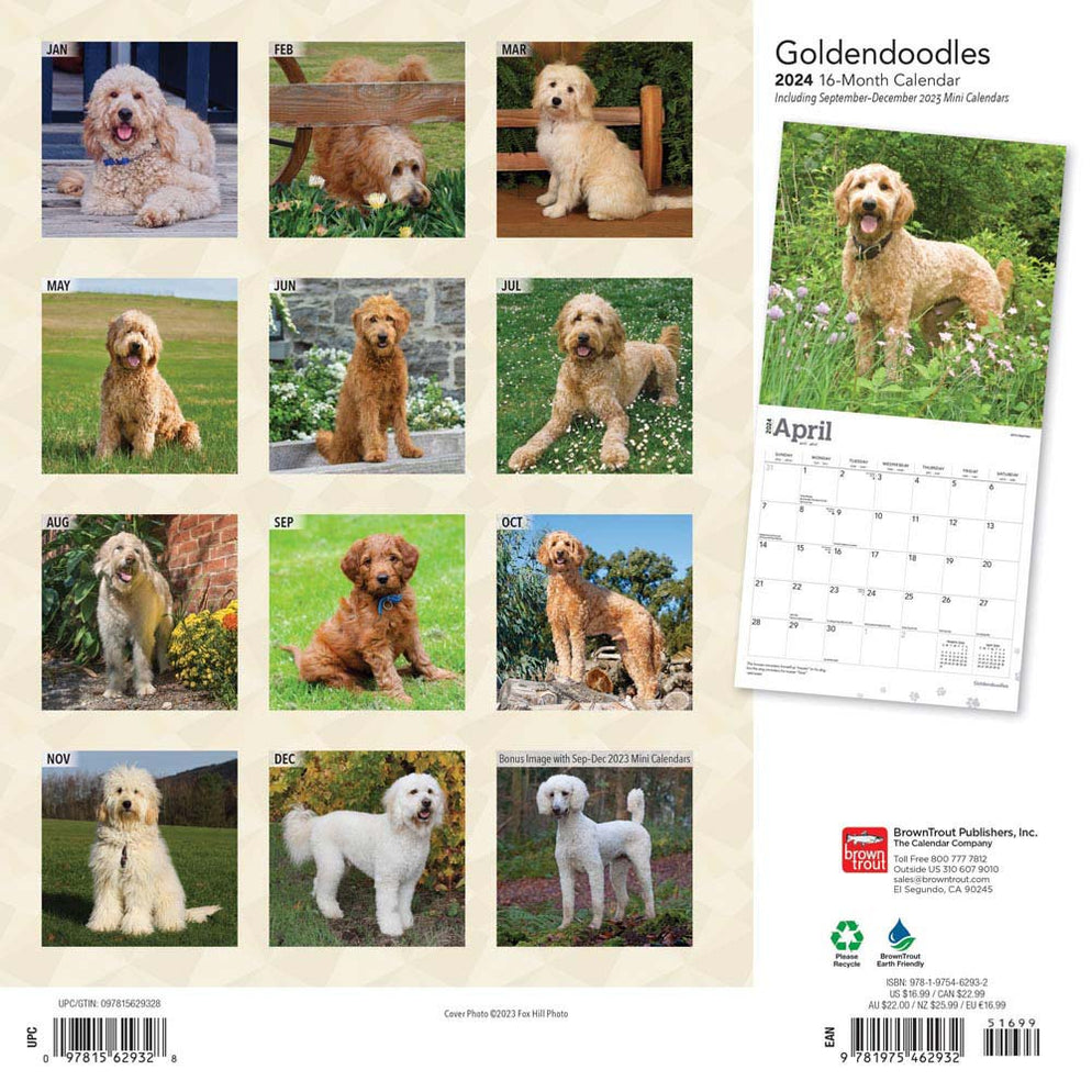 2024 Goldendoodles Wall Calendar — Calendar Club