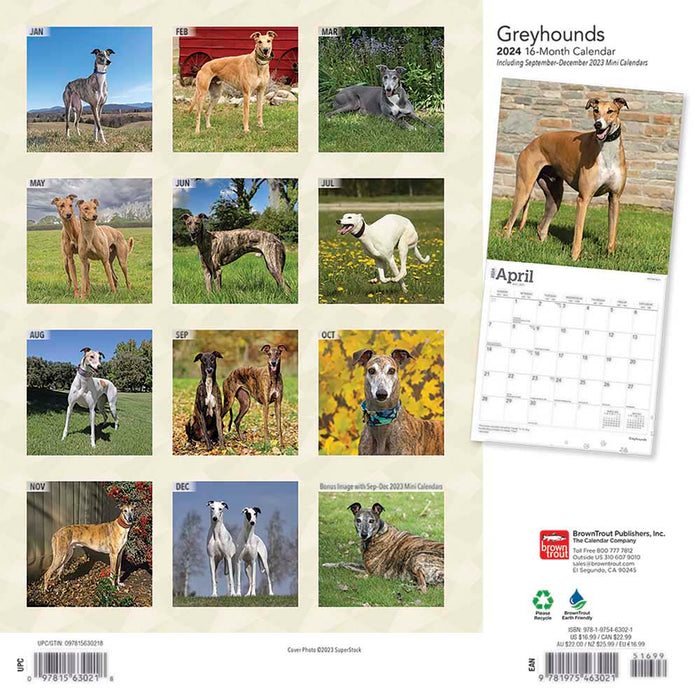 2024 Greyhounds Wall Calendar — Calendar Club