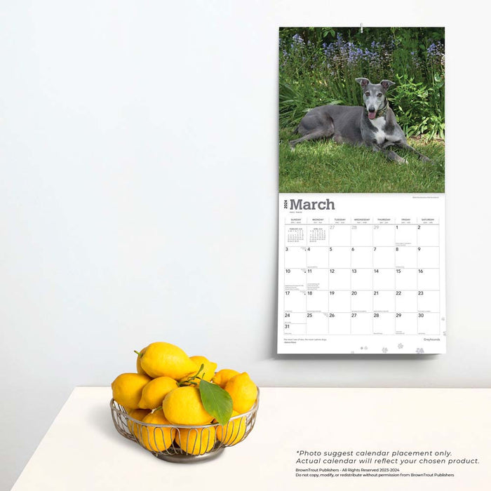 2024 Greyhounds Wall Calendar