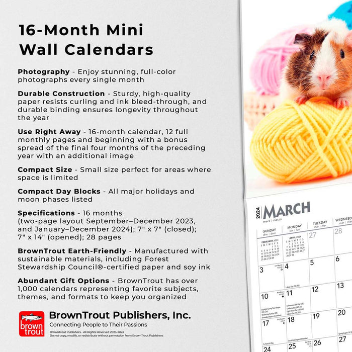 2024 Guinea Pigs Mini Wall Calendar