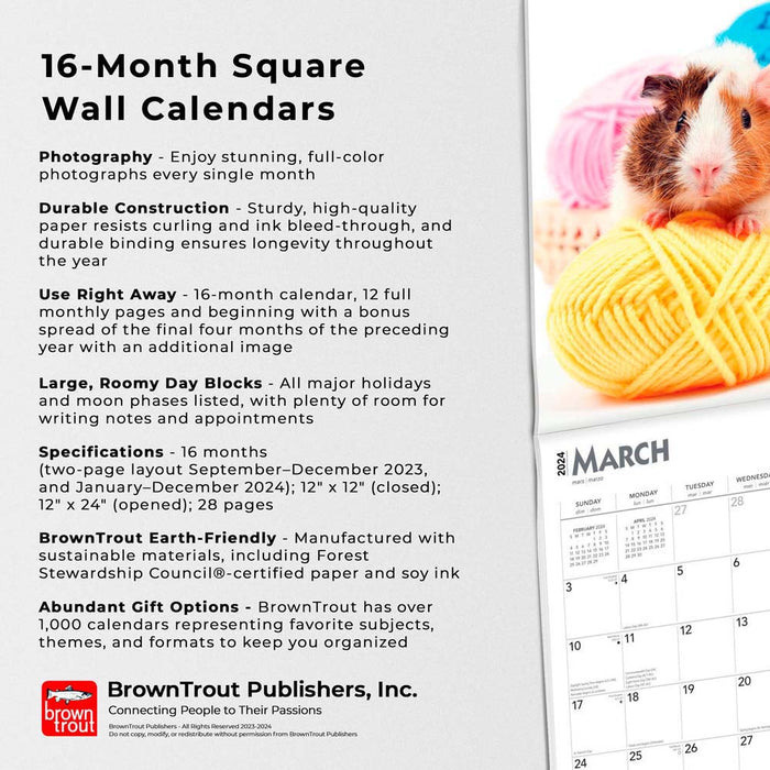2024 Guinea Pigs Wall Calendar
