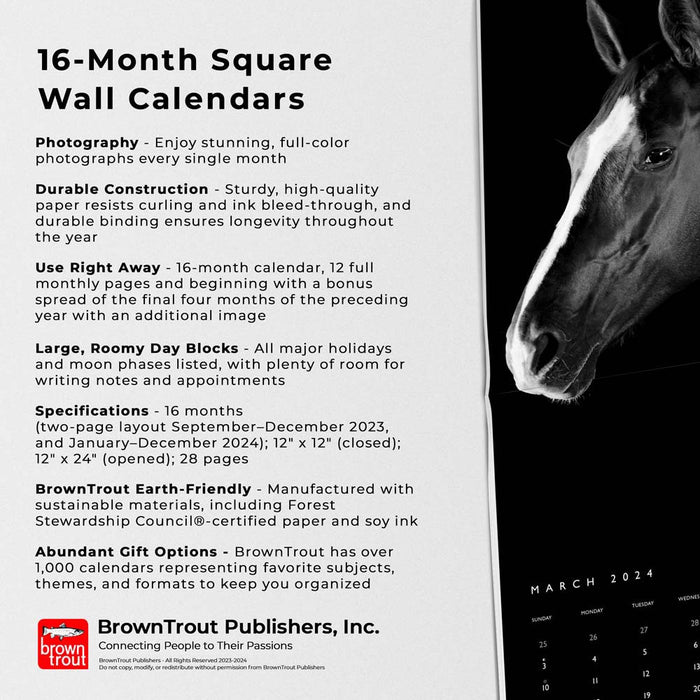 2024 The Noble Horse Portrait Series Wall Calendar