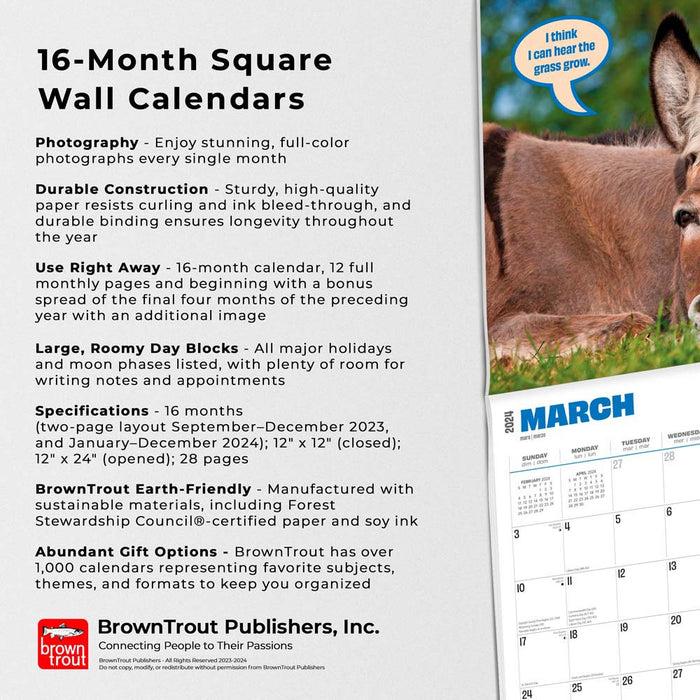 2024 Jackasses Wall Calendar (Online Exclusive)