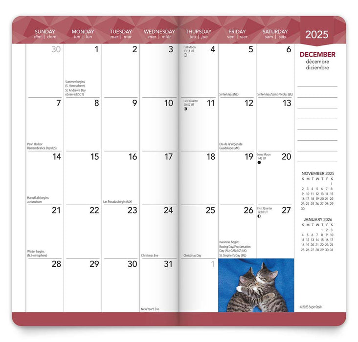 2024 Kitten Cuddles Pocket Diary