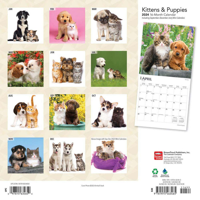 2024 Kittens & Puppies Wall Calendar — Calendar Club
