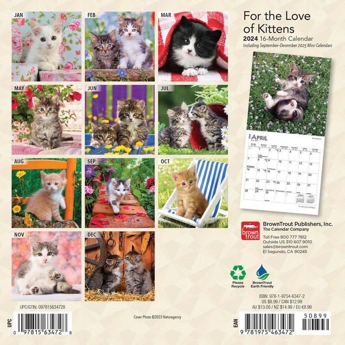 2024 For the Love of Kittens Mini Wall Calendar — Calendar Club