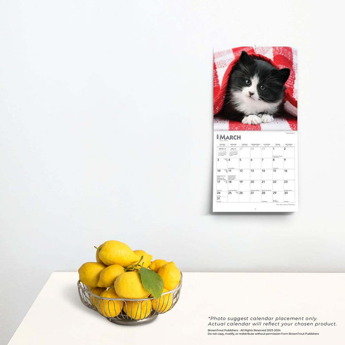 2024 For the Love of Kittens Mini Wall Calendar