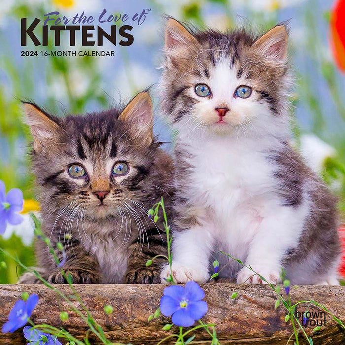 2024 For the Love of Kittens Mini Wall Calendar