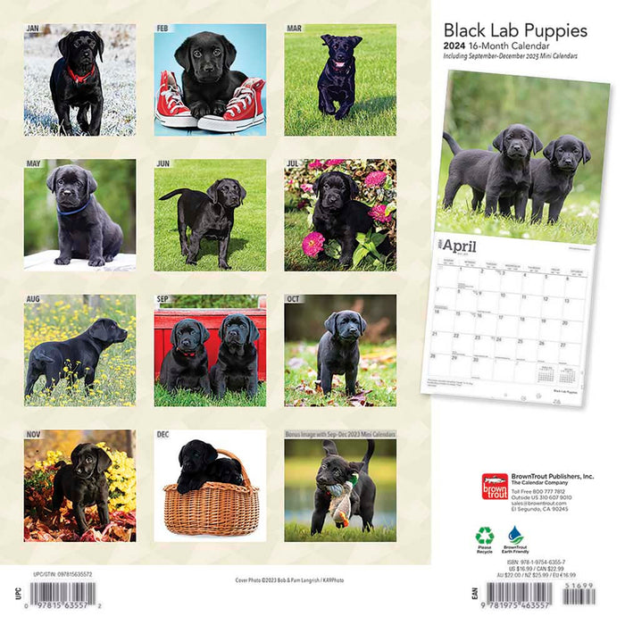 2024 Black Labrador Retriever Puppies Wall Calendar (Online Exclusive)