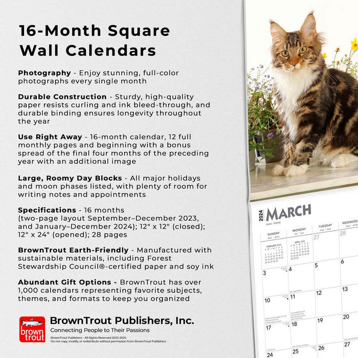 2024 Maine Coon Cats Wall Calendar